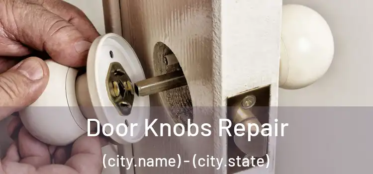 Door Knobs Repair (city.name) - (city.state)